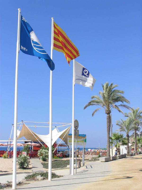 Encantador Estudio Apartment Calella Bagian luar foto